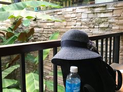 -植物园哈利亚餐厅