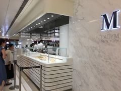 -Lady M(沙田新城市广场店)