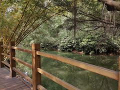 -大湾区中央湿地公园