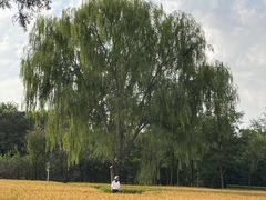 -北坞公园
