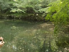 -虎跑公园