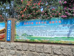 -山东省青岛第六十二中学