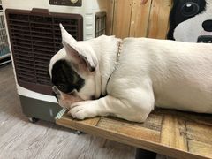 -小时光咖啡馆(北锣鼓巷店)