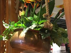 -云海肴·汽锅鸡·云南菜(天山百盛优客店)