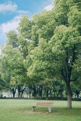 -玄武湖景区-情侣园游乐场