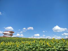 -光明小镇欢乐田园
