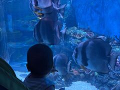 -海合安成都极地海洋公园