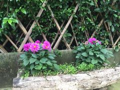 -铁山坪森林公园