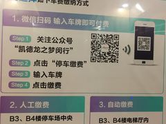 -莘庄龙之梦停车场