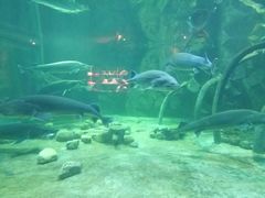 -华夏文旅海洋公园