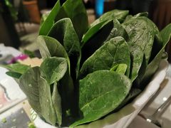菠菜-泓炙颐凤鲜海鲜火锅料理(桐乡店)