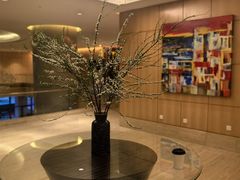 -芽庄喜来登水疗酒店