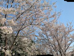 -浙江宾馆·花园餐厅·自助餐厅·茶吧