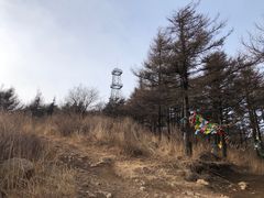 -大觉寺-停车场