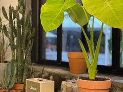 -PlantsEatery·植物食堂(REX春熙店)