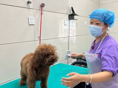 -北京观赏动物医院·24小时大型综合·猫专科·异宠专科