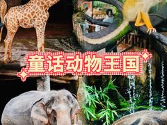 -长鹿旅游休博园