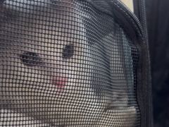 -联合动物医院(光谷诊疗中心)