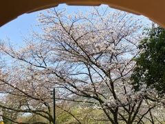 -杭州少年儿童公园