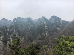 -王顺山国家森林公园