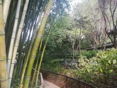 -汇龙潭
