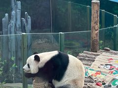 -大连森林动物园