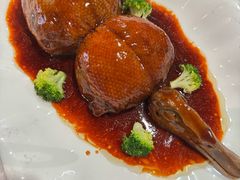 -丁老爷子苏香圆