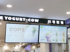 -一只酸奶牛(洪崖洞11楼店)