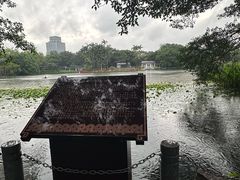 -荔湾湖公园