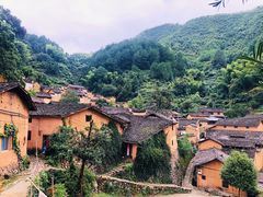 -杨家堂村