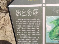 -白水寺森林公园