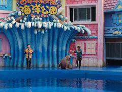 -华夏文旅海洋公园