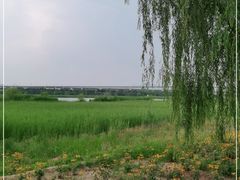 -绿堤公园