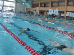 -小海豚国际游泳培训中心(浦东源深体育中心店)