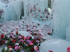 -洛阳白云山景区