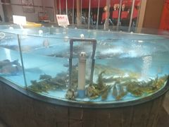 -耕渔小院·湖南鱼鲜(望城店)