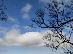 -洛阳白云山景区