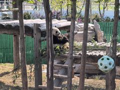 -西霞口神雕山野生动物世界