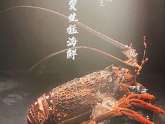 -官也街澳门火锅(新源里店)
