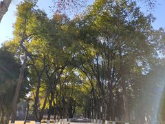 -明故宫遗址公园