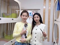 -青奢宠物·青奢猫舍