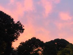 -上野公园花园稻荷神社(忍岡稲荷神社)
