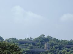 -福道
