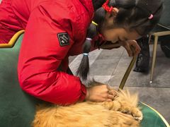 -后海16号·北京私房菜