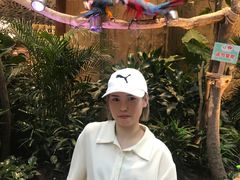 -杭州开元森泊度假乐园