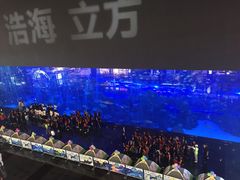 -成都浩海立方海洋公园
