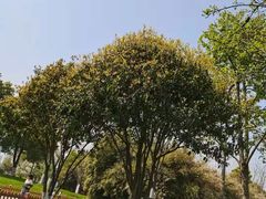 -九里河湿地公园