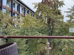 -逸廊大堂吧-下午茶·简餐-千岛湖自由洲际殿