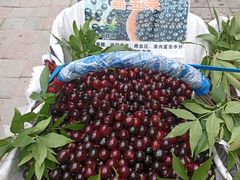 -老三羊汤【北兴隆街店】