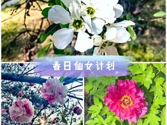 -国家植物园
